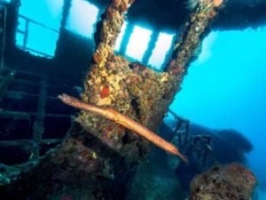 Naufragio Catuán El Catuán se hundió el 12 de diciembre de 2006, a una profundidad de unos 18 metros. El barco remolcador de 33 metros se convirtió en un hermoso hábitat marino con jardines de coral y grandes cardúmenes de pequeños peces tropicales, convirtiéndolo en un lugar ideal para buzos avanzados.