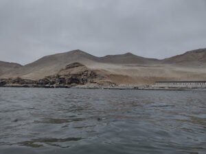 El Frontón Aquellos que exploren El Frontón, a sólo 17 metros de profundidad, también se beneficiarán de una visita a la hermosa playa virgen de Frontón. El arrecife que se encuentra frente a él protege la playa, trae aletas o zapatos de goma para proteger tus pies de los erizos de mar, y poder observar la abundante vida marina y los corales de la zona, incluyendo rayas águila manchada. Los buzos más experimentados podrán intentar ver manatíes, usualmente vistos aquí mientras pastan en la vegetación submarina.